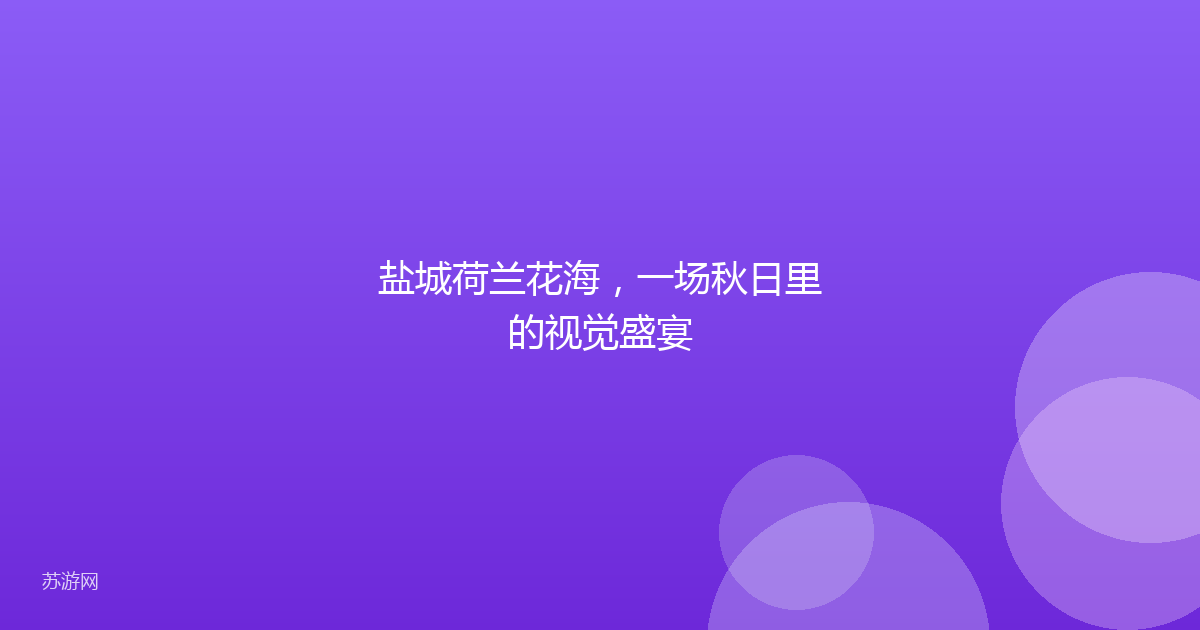 盐城荷兰花海，一场秋日里的视觉盛宴