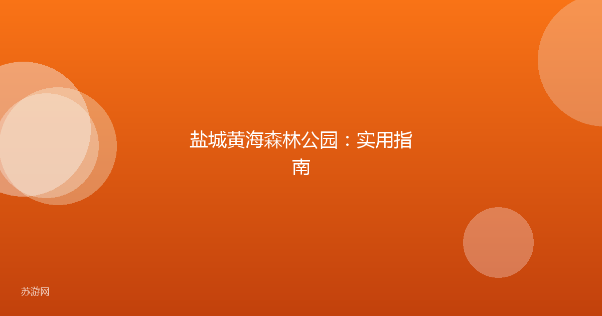 盐城黄海森林公园:实用指南