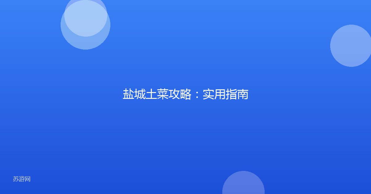 盐城土菜攻略：实用指南