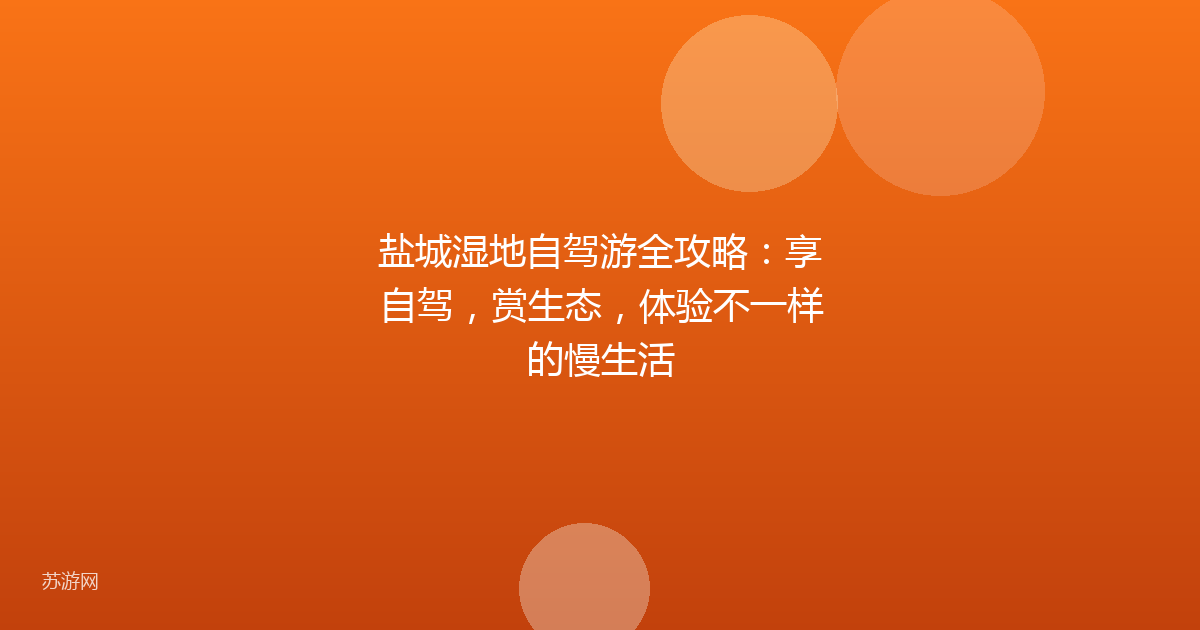 盐城湿地自驾游全攻略：享自驾，赏生态，体验不一样的慢生活
