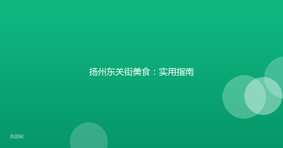 扬州东关街美食：实用指南