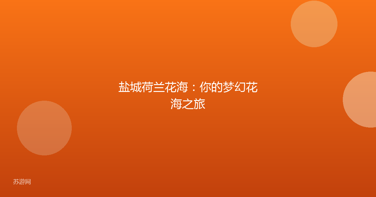 盐城荷兰花海:你的梦幻花海之旅