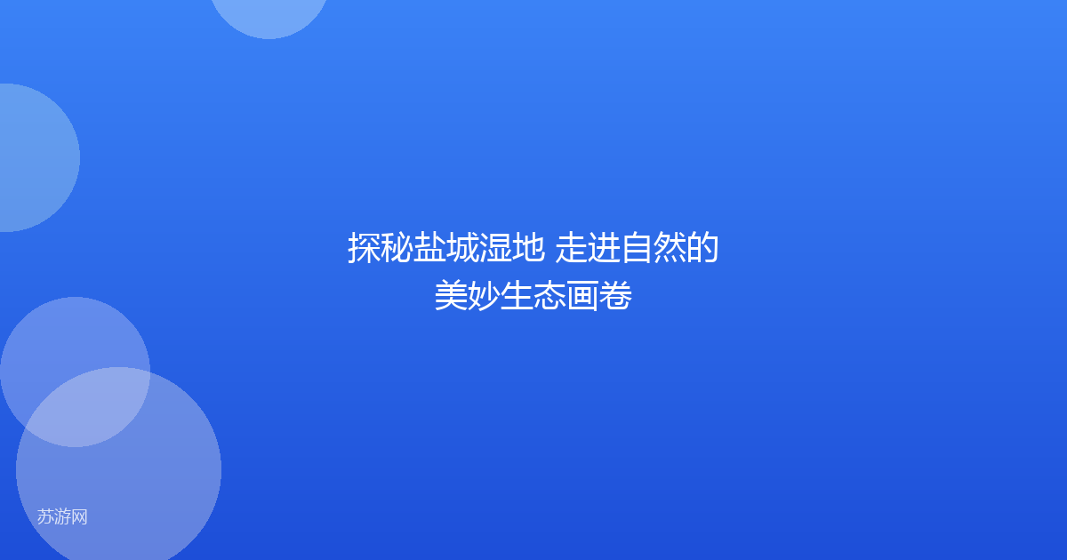 探秘盐城湿地 走进自然的美妙生态画卷